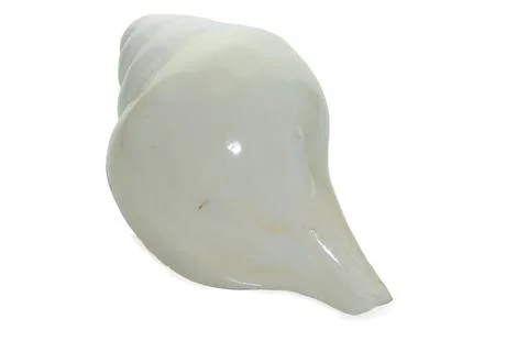 White conch shell on a clean background, symbolizing positive vibrations and  Stock Photos