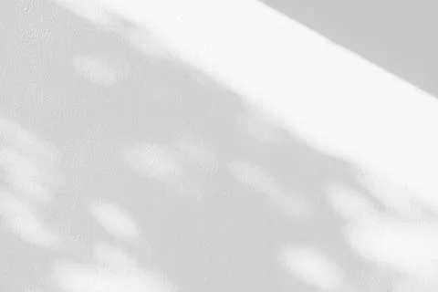 White Concrete Wall Texture Background with Shadow of Tree. Stock Photos