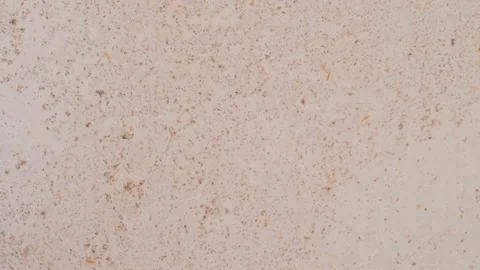 White concrete wall texture Stock Footage 142951516