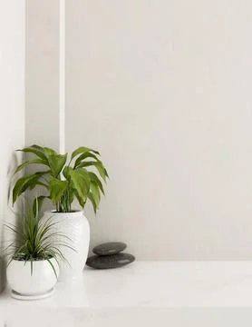 A white console table featuring stones and potted plants against a white wa.. Stock Photos