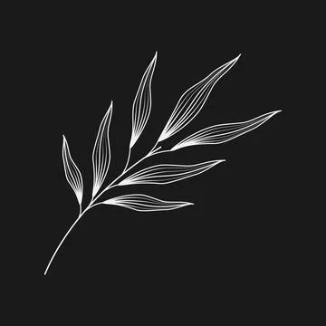 White Contour drawn olive sprig Light on dark Background Hand drawn minimalistic Stock Illustration