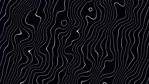 White Contour Lines on Abstract Animated Topographic Map on Black Background Stock Footage 310501386