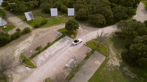 White convertible on the background of figwams Stock-Footage 259734557