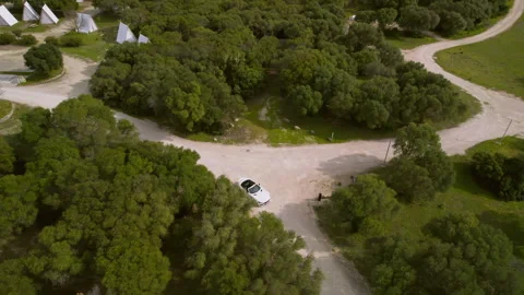 White convertible drive through a trees on the background of wigwams Stock Footage 259973983