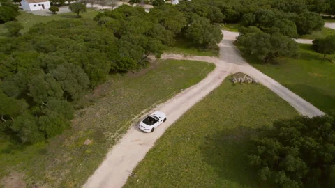 White convertible drive through a trees offroad Stock Footage 260046391