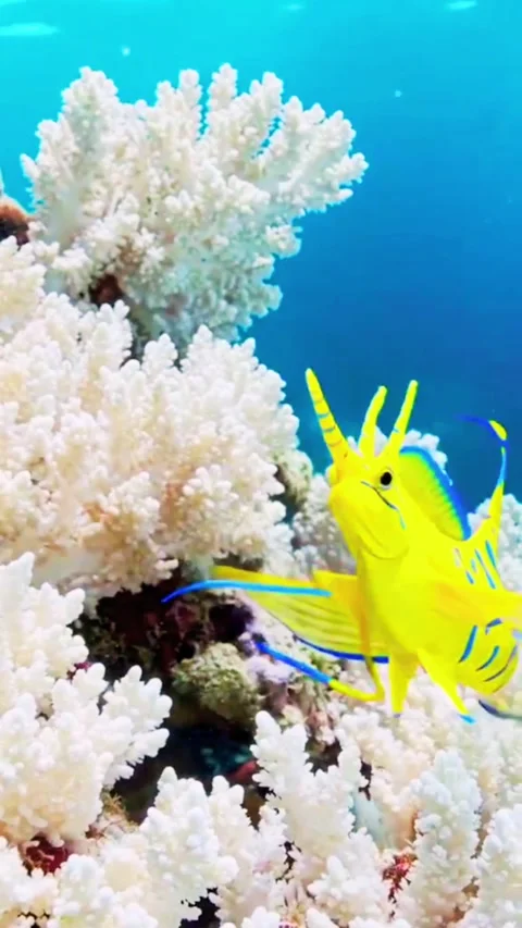 White Coral Branches with Small Damsel Fish in Deep Ocean Stockbeeldmateriaal 338426739