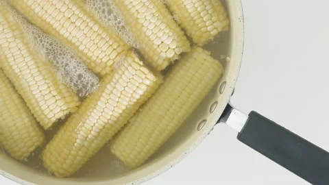 White corn. Boil the corn in boiling water Stock Footage 132782719