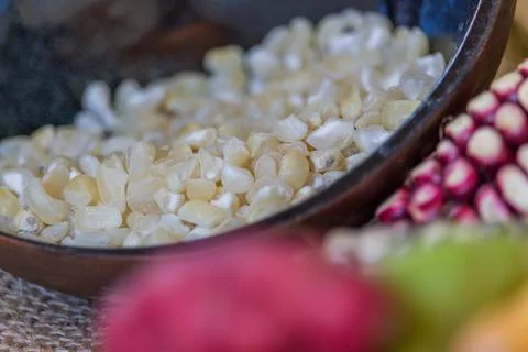 White corn kernels - closeup Stock Photos