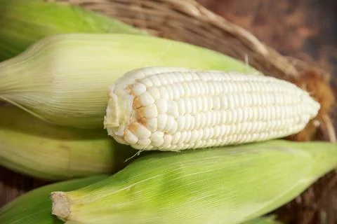 White corn on wooden background Stock Photos