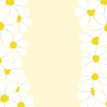 White Cosmos Flower Border Stock Illustration