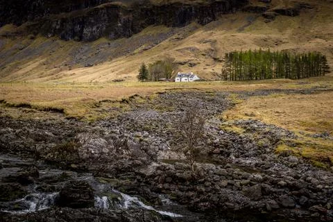White Cottage Stock Photos