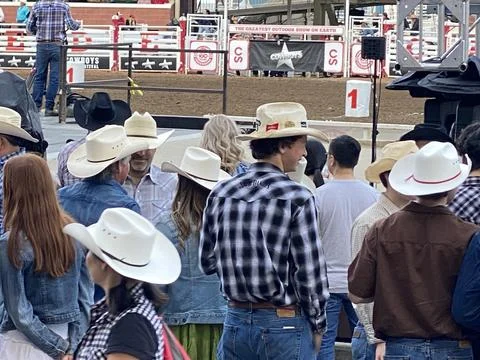 White Cowboy Hats at the Rodeo - Calgary Stampede Stock-Fotos