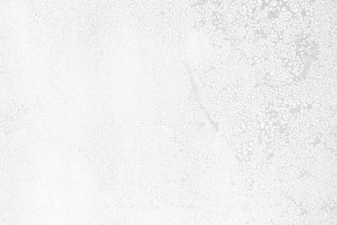 White Crack Wall Texture Background. Stock Photos