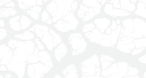 White cracked earth texture background with dry soil pattern for graphic design Stock Illustration