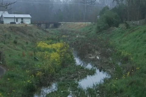 White Crane, Heron flies from small stream, valley Stock Footage 10757533