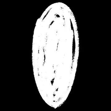 White crayon sketch oval shape on black background, scribble round figure chalk Stock Illustration