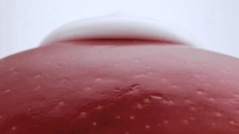 White cream taking over red apple Stock Footage 219464424