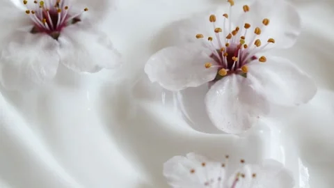 White cream texture with cherry flowers, close-up beauty facial cosmetics mask Stock Footage 253766853