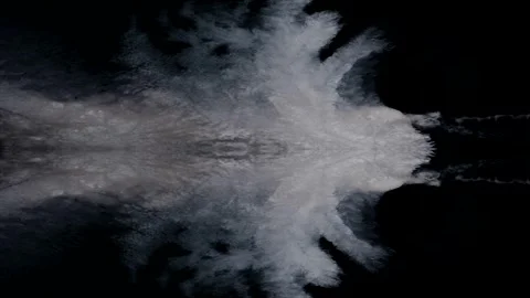 White Creature on Black - An elegant white "thing" evolves -  NOT CGI, dramat Stock Footage 257950366