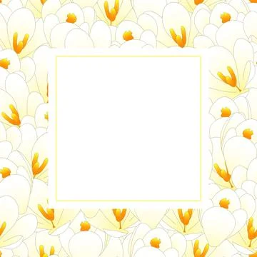 White Crocus Flower Banner Card Stock Illustration