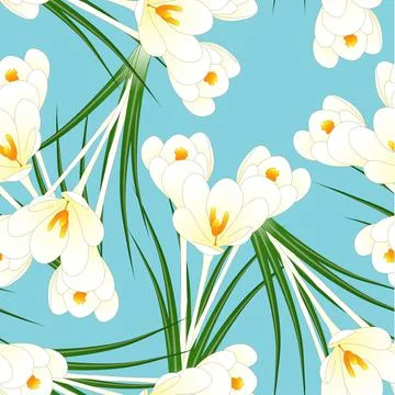 White Crocus Flower on Light Blue Background Stock Illustration
