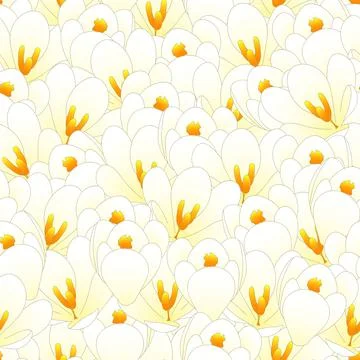 White Crocus Flower Seamless Background Stock Illustration