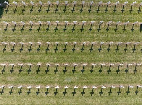 White crosses Pattern from Above. Tombs in a military cemetery in Strasbourg Stock Photos