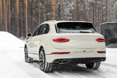 White  crossover SUV ,   back view, parked of a forest on winter season. No o Stock Photos