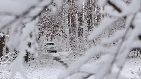 White crossover in the winter forest. Stock-Footage 83698073
