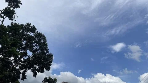 White Cumulus Clouds and Blue Sky over Green Trees Stockfoto's