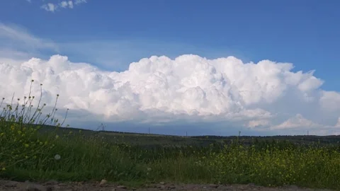 White cumulus clouds are growing over green fields Vidéo 310309500
