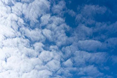 White cumulus clouds on the background of the blue sky Stock Photos
