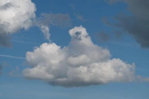 White cumulus clouds drifting across a blue sky Stockfoto's