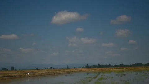 White cumulus clouds move across the blue sky. Meteorological background. Видео 310528090
