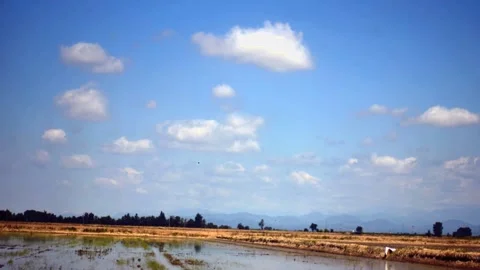 White cumulus clouds move across the blue sky. Meteorological background. Vídeo Stock 330393817