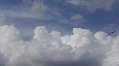 White Cumulus Clouds Timelapse 4K+ Stock Footage 40487536