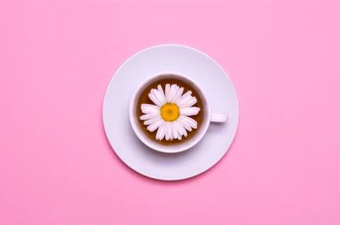 White cup with chamomile tea on a pink background. View from above. Creative  Stock Photos