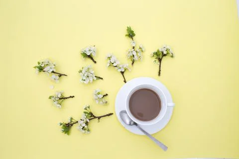 A white cup with cocoa on a yellow background, branches of a flowering apple  Stock Photos