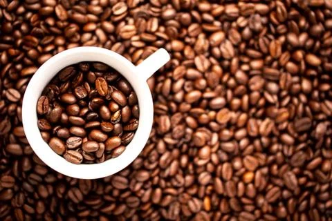 White cup with coffee beans on a background of coffee beans Stock Photos