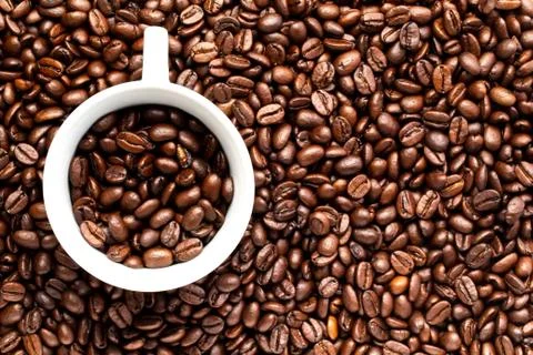 White cup with coffee beans on a background of coffee beans Stock Photos