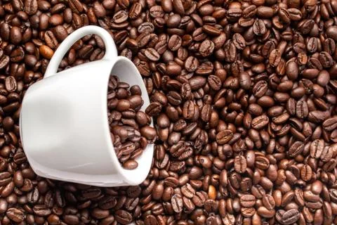 White cup with coffee beans on a background of coffee beans Stock Photos