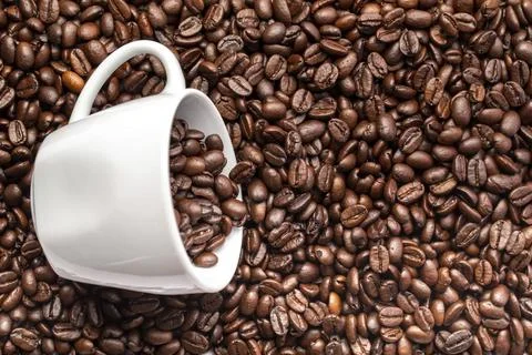 A White cup with coffee beans on a background of coffee beans Stock Photos