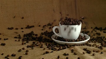 White cup with coffee beans, fried coffee beans on burlap Stock Footage 85591859