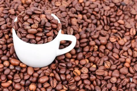 White cup with coffee beans Stock Photos