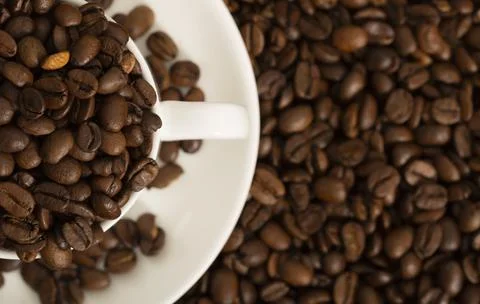 White cup with coffee grains close-up. View from above. Flat lay. Stock Photos