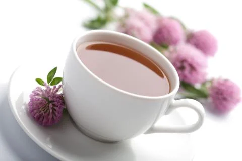 White cup of herbal tea and clover flowers isolated Stock Photos