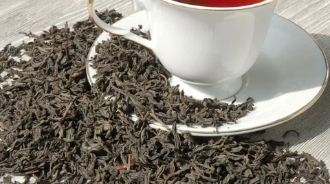 White cup of hot black tea, close up Stock Footage 62528558