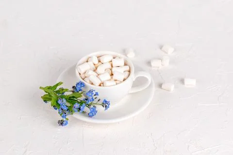 White Cup of hot cocoa with marshmallows Stock Photos