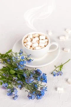 White Cup of hot cocoa with marshmallows Stock Photos
