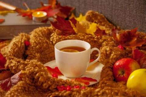White cup with hot tea, autumn look Stock Photos